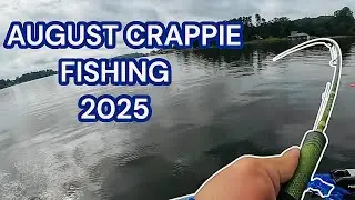 WHERE TO FIND & CATCH CRAPPIE IN AUGUST‼️AUGUST CRAPPIE FISHING 2025‼️
