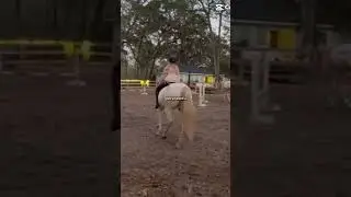 #equestrianjourney #horseriding #horse #equestrian #horseriders #pony #bareback #pony #besties #pony