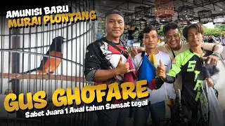 Amunisi baru MB PLONTANG milik Gus ghofare langsung juara 1 di samsat enterprice tegal