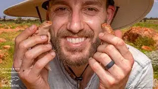 Episode 46: Houssam Istanbouli of The Knobtail!