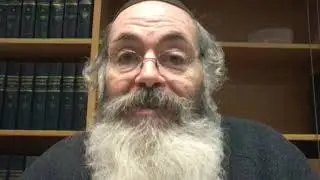 Respect for Torah Scholars - The Chazon Ish & the Brisker Rav