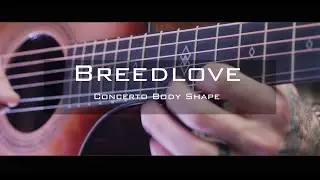 Breedlove Concerto Body Shape