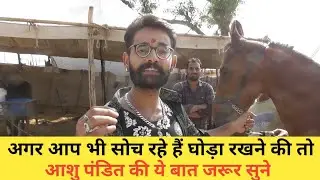 Pushkar Mela 2019 -अगर आप भी सोच रहे हैं घोड़ा रखने की तो ये वीडियो जरूर देखें