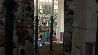 How to Offer Salah In Mosque #Salah #namaz #viral #viralshortsfeed