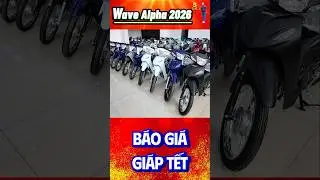 B&aacute;o gi&aacute; nhanh Honda Wave Alpha 110 2026 gi&aacute;p Tết #giaxemayvlogs #wavealpha2026 #honda2026