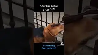 Alter Ego Rehab - I Get Out (Official music video)