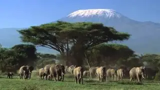 African Music / African Conga Drums / Traditional African Drum Music