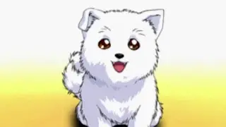 Naming the Puppy - Sakura Wars 2 (English Translation)