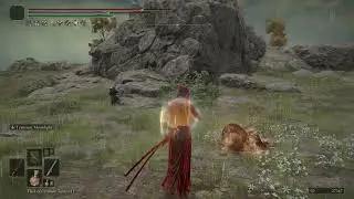 KRACKMAN ELDEN RING PVP
