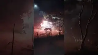 Barrio d Guadalupe V. Santiago Chilixtlahuaca oax  enero 2024