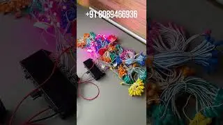 Offer is Back! Offer for 5