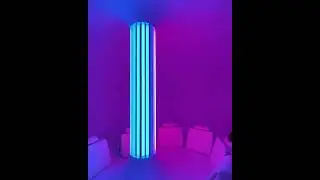 Immersive, sensory art experience in the US
