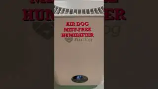 Airdog Mist-free Humidifier (best humidifier for allergies)