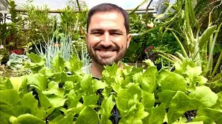 UM DETALHE SIMPLES QUE MUDA TODO O CULTIVO