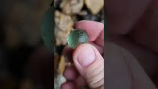 Mudlarking on the Thames   - A Green Marble