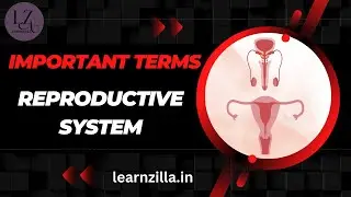 IMPORTANT BIOLOGY QUESTIONS | DEFINE | TERMINOLOGY REPRODUCTIVE SYSTEM | CLASS 10 ICSE