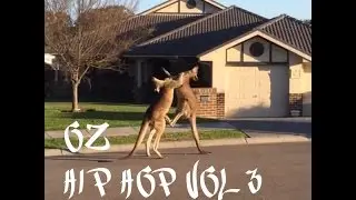 Oz Hip Hop Mix Vol 3