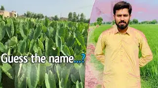 Guess the name 🤔 | Life main phli dafa esy dekha | MB 628