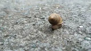 #stoneskipping kipping #youtube #meme #viral #likes #trending #video #youtube  #gamer #games #reels