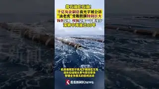 靠石油吃石油！千亿央企副总被公诉！