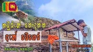 කවුරුත් නොදන්න ඇත් වෙහෙර -මිහින්තලේ කතන්දරේ 01 | AMII