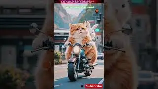#Ai Cat & Rabbit 🐇 #Friendship