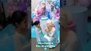 #frozen #anayelsa #happybirthday #showinfantiles #spectacularshow