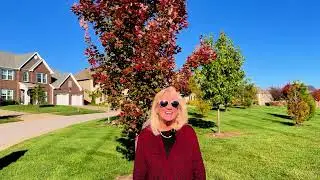 Ball Homes Louisville - Bellingham Park November 2025 Update!