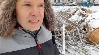 Рубка  деревьев на Нарвской.