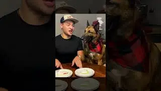 Dog's Dude Shocked by Dog's Drool...