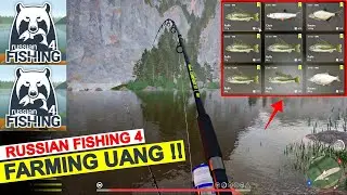 Cara Farming Uang Dengan Cepat di Russian Fishing 4 Indonesia