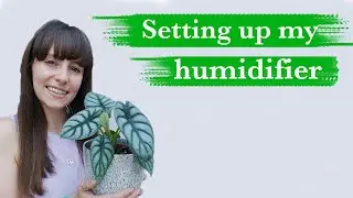 How to use a houseplant humidifier | Vicks VWM845 | According To Jess