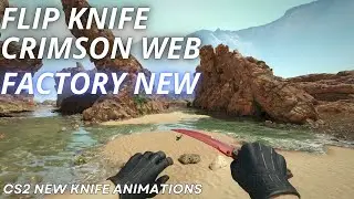 Flip Knife Case Crimson Web | CS2 Skin Showcase with NEWEST Animation