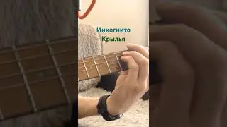 Инкогнито - Крылья [кавер]