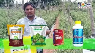 Happy Farmer | Sri Ramulu Garu | Gurramkonda | Super sniper | Super Mithr | Tomato |