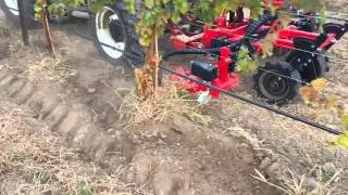 🚜🍇 INTERCEPAS rotativo quitando Malas Hierbas en la Vi&ntilde;a | ID David