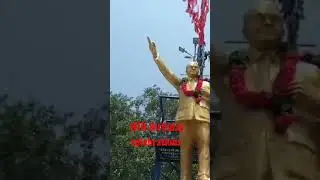 Junior NTR Birthday celebrations