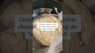 Sourdough magic: unfed starter to delightful bread #capcut #sourdough