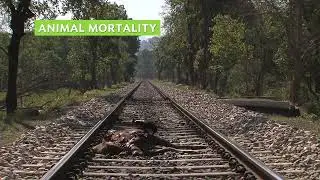 Impacts of Linear Infrastructure (Promo)