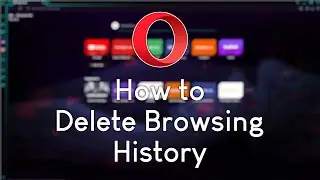 How to clear Opera browsing history (2022)