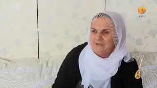 Jiyana dayikan, Mêrdîn, Wan,  Amed