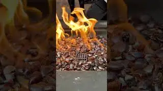 flame | The Explorer And Recorder