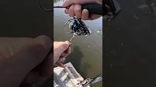 decent fella&bull;&bull;&bull;&bull;&bull;&bull;&bull;&bull;&bull;&bull;&bull;&bull;#bassfishing #fishing #bass #viral #fish #bigbait #swimbait #swimbaitfish
