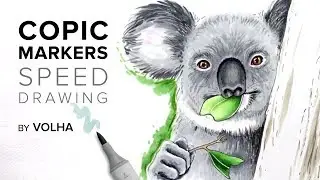 Copic markers speed drawing #28 / Рисую маркерами Copic коалу