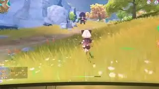 I have Stutter/Freeze/Frame drops /Lag/Hiccups how ever you want to call it, In Genshin Impact
