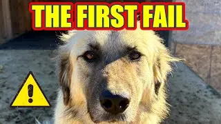 The First Predator Most LGDs Fail Against
