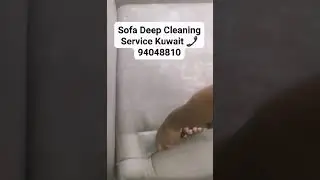 #kuwaithousedriver #kuwaitshop #sofacleaning #indianinkuwait