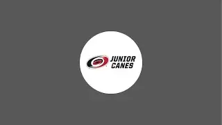 2011 Junior Canes AAA vs 2011 Colorado Rampage AAA