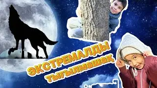 Экстремалды тығылмашақ🤫Достар Айша жоғалып кетті🆘😱#пранк #копжасаровы #Сырымовтар #тренды 