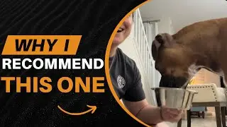 Review of The Daily Dog Supplement